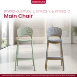 Visitor Chair BTY002